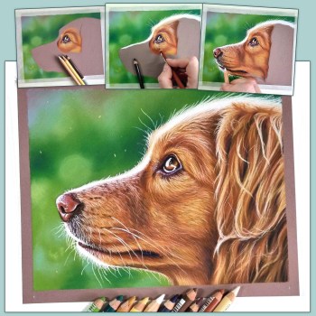 Masterclass hond met pastelpotloden